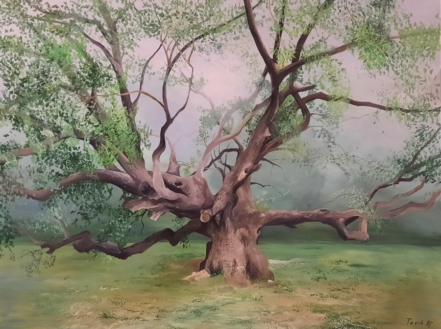Acrylic painting of ancient sprawling oak tree in misty meadow by Israeli artist Pavla Parik, pavla-parik.com