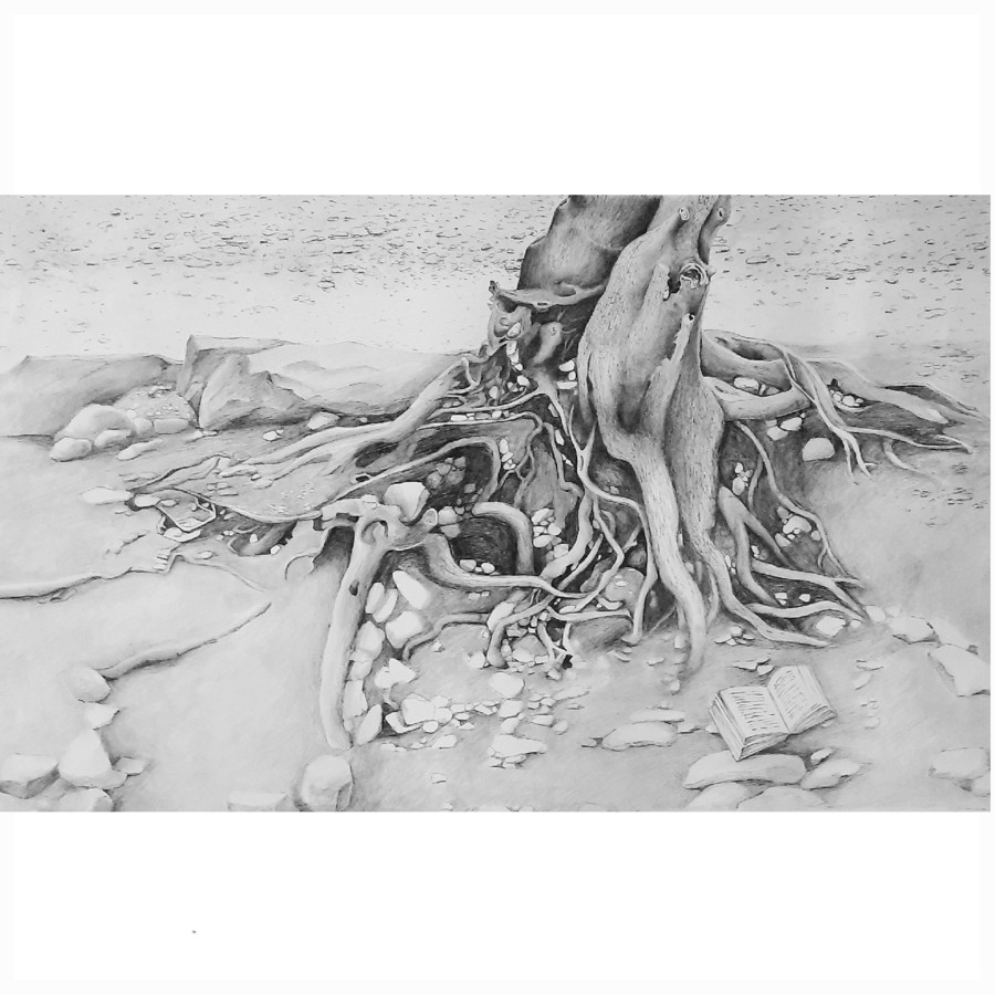 Detailed pencil drawing ancient tree roots rocks and open book Israeli landscape art Pavla Parik