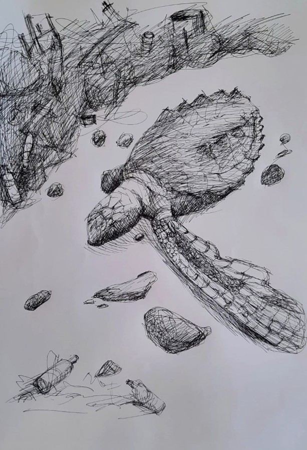 Sea turtle tangled in ocean plastic trash ink drawing environmental art Israel
